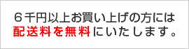 ����߰ʾ太�㤤�夲����������̵����