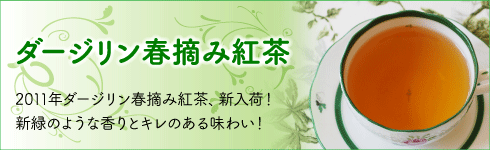 ������������Ź����������ɥåȥ���2011ǯ������������Х��󥿥����