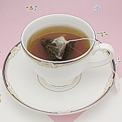 �˥륮�����ƥ����Хå�